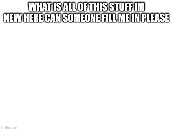 WHAT IS ALL OF THIS STUFF IM NEW HERE CAN SOMEONE FILL ME IN PLEASE | image tagged in furry,anti furry,idk,memes,jokes | made w/ Imgflip meme maker