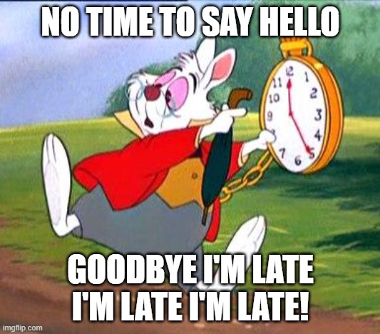 White Rabbit "I'm late!" | NO TIME TO SAY HELLO; GOODBYE I'M LATE I'M LATE I'M LATE! | image tagged in white rabbit i'm late | made w/ Imgflip meme maker