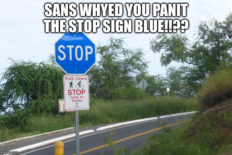 Blue stop sign in Hawaii | SANS WHYED YOU PANIT THE STOP SIGN BLUE!!?? | image tagged in blue stop sign in hawaii | made w/ Imgflip meme maker