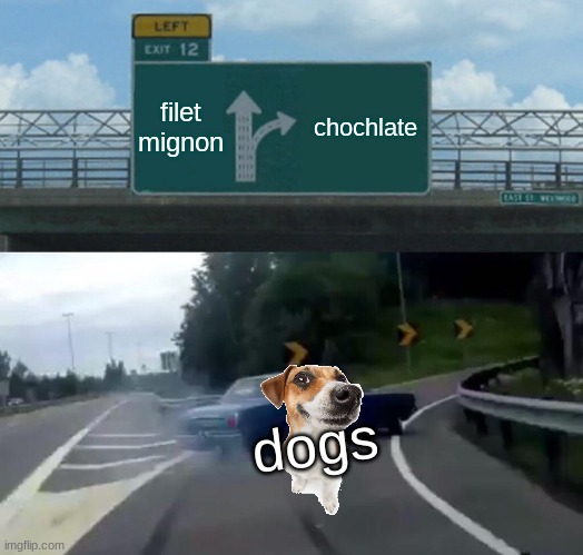 Left Exit 12 Off Ramp | filet mignon; chochlate; dogs | image tagged in memes,left exit 12 off ramp,dog | made w/ Imgflip meme maker