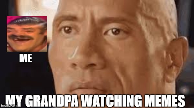 ME; MY GRANDPA WATCHING MEMES | image tagged in stupid | made w/ Imgflip meme maker