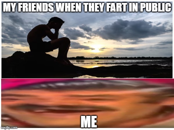 MY FRIENDS WHEN THEY FART IN PUBLIC; ME | image tagged in stupid | made w/ Imgflip meme maker