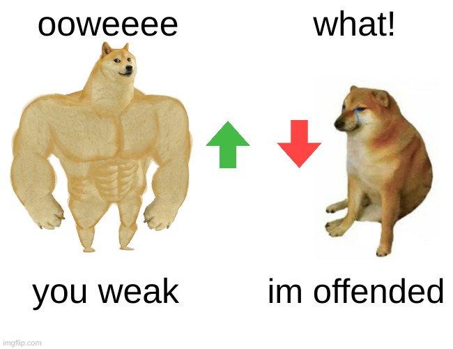 Buff Doge vs. Cheems | ooweeee; what! you weak; im offended | image tagged in memes,buff doge vs cheems | made w/ Imgflip meme maker