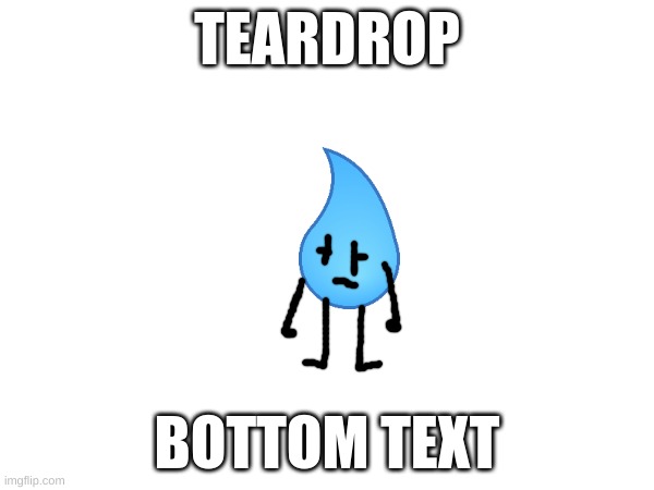 teardrop bottom text | TEARDROP; BOTTOM TEXT | image tagged in bfb | made w/ Imgflip meme maker