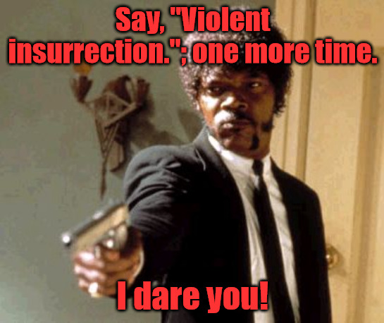 I am Tired of that Lie | Say, "Violent insurrection."; one more time. I dare you! | image tagged in memes,say that again i dare you | made w/ Imgflip meme maker