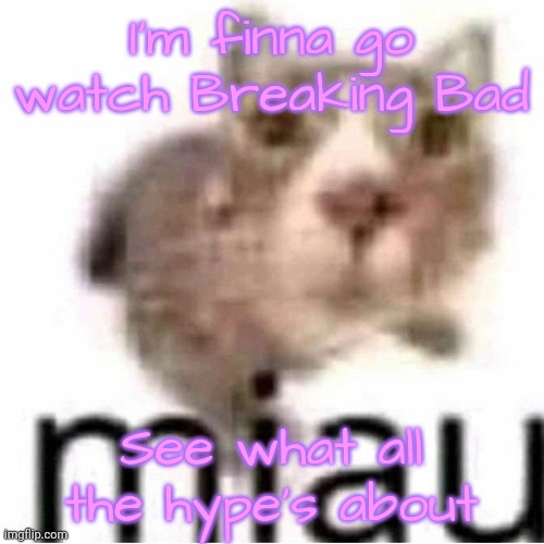 miau | I'm finna go watch Breaking Bad; See what all the hype's about | image tagged in miau | made w/ Imgflip meme maker