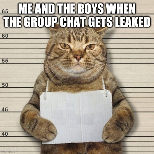 Anybody else? | ME AND THE BOYS WHEN THE GROUP CHAT GETS LEAKED | image tagged in guilty cat mug shot blank | made w/ Imgflip meme maker