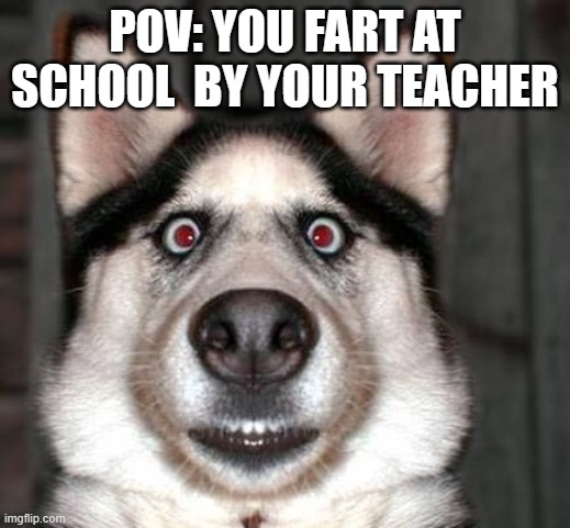 dogs face when he has to fart | POV: YOU FART AT SCHOOL  BY YOUR TEACHER | image tagged in dogs face when he has to fart | made w/ Imgflip meme maker