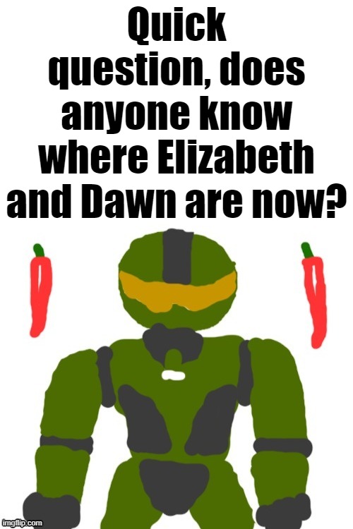 usernames maybe? | Quick question, does anyone know where Elizabeth and Dawn are now? | image tagged in idk,what,to,put,for,tags | made w/ Imgflip meme maker