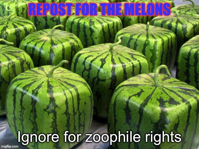Melon :) | made w/ Imgflip meme maker