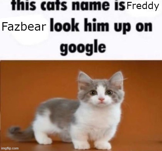 this cats name is x look him up on google | Freddy; Fazbear | image tagged in this cats name is x look him up on google | made w/ Imgflip meme maker
