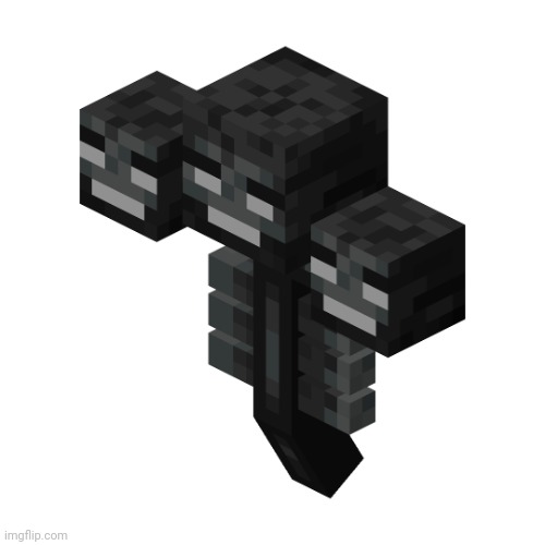 The wither | image tagged in the wither | made w/ Imgflip meme maker