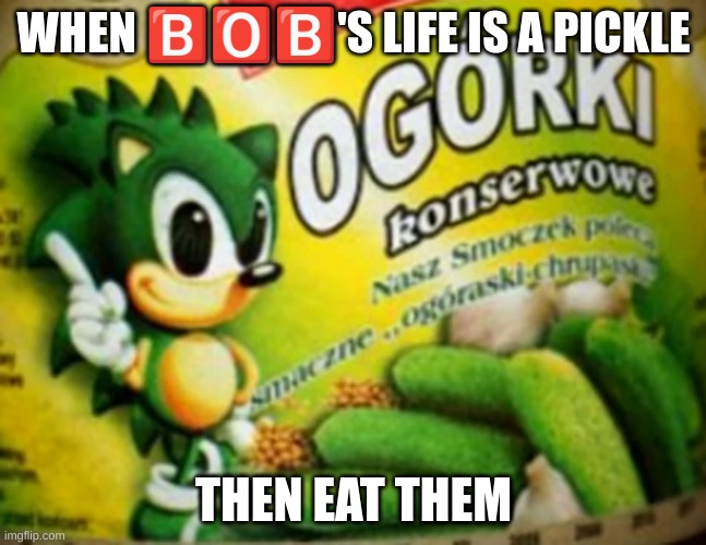 ?️?️?️ | WHEN 🅱️🅾️🅱️'S LIFE IS A PICKLE; THEN EAT THEM | image tagged in pickle sonic | made w/ Imgflip meme maker