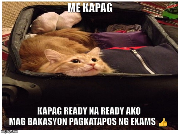 ME KAPAG; KAPAG READY NA READY AKO MAG BAKASYON PAGKATAPOS NG EXAMS 👍 | made w/ Imgflip meme maker