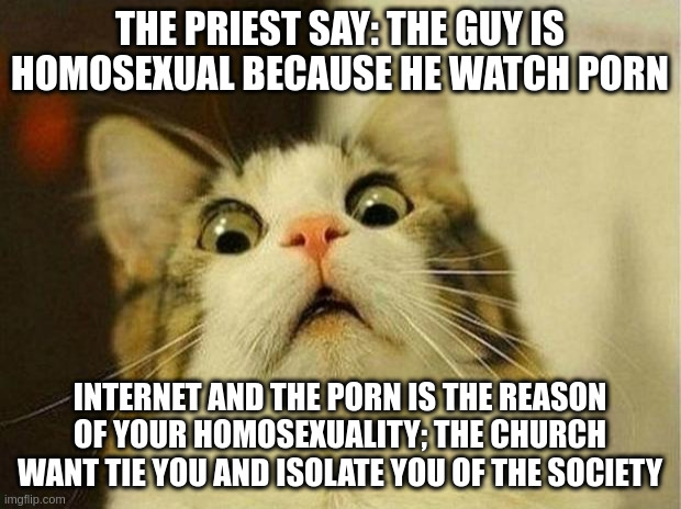 isolate | THE PRIEST SAY: THE GUY IS HOMOSEXUAL BECAUSE HE WATCH PORN; INTERNET AND THE PORN IS THE REASON OF YOUR HOMOSEXUALITY; THE CHURCH WANT TIE YOU AND ISOLATE YOU OF THE SOCIETY | image tagged in memes,scared cat | made w/ Imgflip meme maker