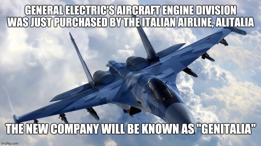Fighter Jet | GENERAL ELECTRIC'S AIRCRAFT ENGINE DIVISION WAS JUST PURCHASED BY THE ITALIAN AIRLINE, ALITALIA; THE NEW COMPANY WILL BE KNOWN AS "GENITALIA" | image tagged in memes,fighter jet,aircraft,general electric,genitalia | made w/ Imgflip meme maker