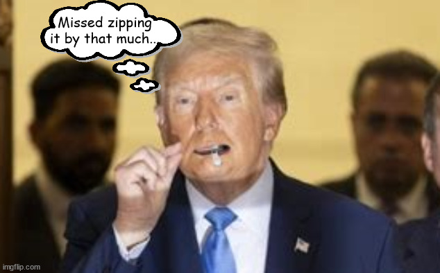 Unzipped admission of guilt "Everybody" | Missed zipping it by that much... | image tagged in donald trump,unzipped in court,perjured,guilty,everybody | made w/ Imgflip meme maker