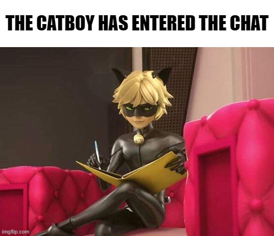 . | THE CATBOY HAS ENTERED THE CHAT | image tagged in meme | made w/ Imgflip meme maker