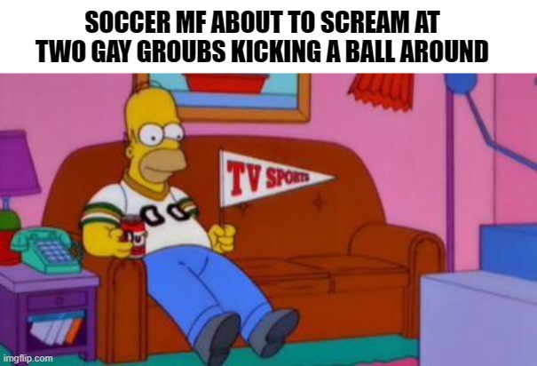 Soccer fans be like | SOCCER MF ABOUT TO SCREAM AT TWO GAY GROUBS KICKING A BALL AROUND | image tagged in homer simpson,soccer,memes,funny memes,viral meme | made w/ Imgflip meme maker