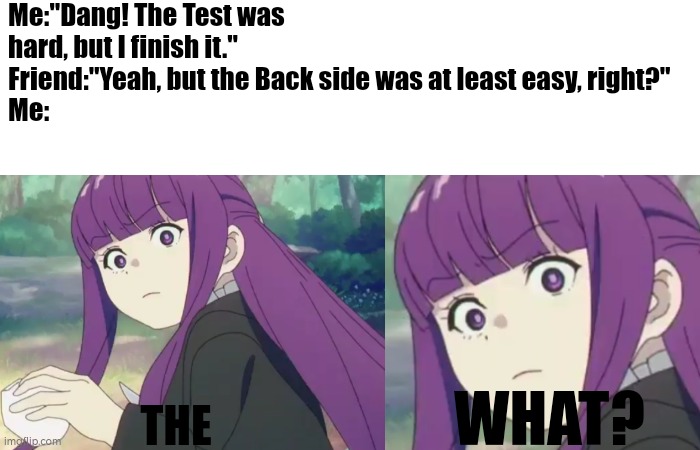 Don't forget to remember the Back Side of Exam. | Me:"Dang! The Test was hard, but I finish it."
Friend:"Yeah, but the Back side was at least easy, right?"
Me:; THE; WHAT? | image tagged in the what,exam,memes,funny | made w/ Imgflip meme maker