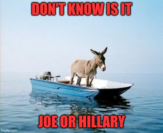 DONKEY ON A BOAT | DON'T KNOW IS IT; JOE OR HILLARY | image tagged in donkey on a boat | made w/ Imgflip meme maker