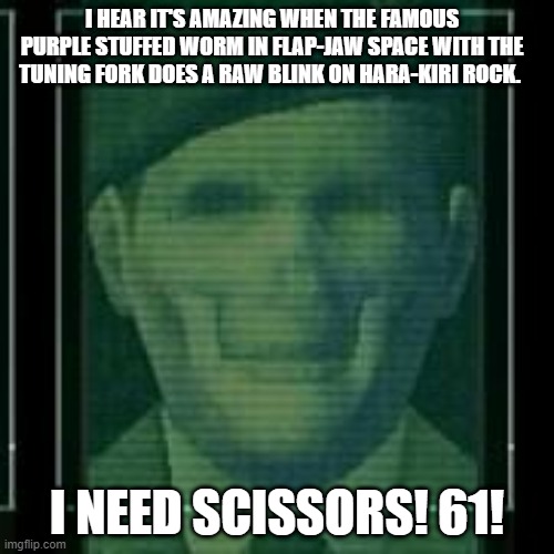 Metal gear solid 2 Colonel AI | I HEAR IT'S AMAZING WHEN THE FAMOUS PURPLE STUFFED WORM IN FLAP-JAW SPACE WITH THE TUNING FORK DOES A RAW BLINK ON HARA-KIRI ROCK. I NEED SCISSORS! 61! | image tagged in metal gear | made w/ Imgflip meme maker
