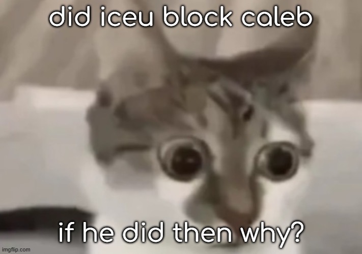 bombastic side eye cat | did iceu block caleb; if he did then why? | image tagged in bombastic side eye cat | made w/ Imgflip meme maker