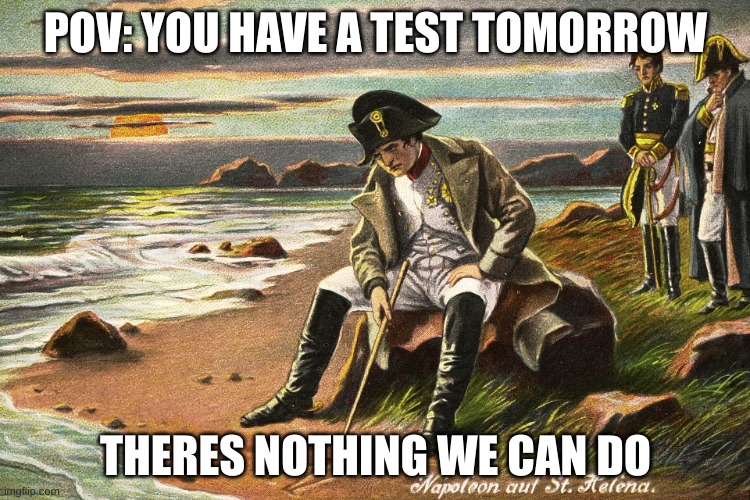 There is Nothing We Can Do | POV: YOU HAVE A TEST TOMORROW; THERES NOTHING WE CAN DO | image tagged in there is nothing we can do | made w/ Imgflip meme maker