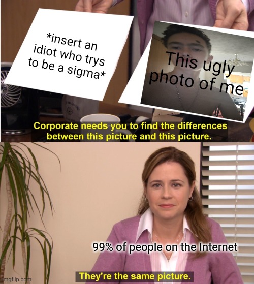 They're The Same Picture Meme | *insert an idiot who trys to be a sigma*; This ugly photo of me; 99% of people on the Internet | image tagged in memes,they're the same picture | made w/ Imgflip meme maker