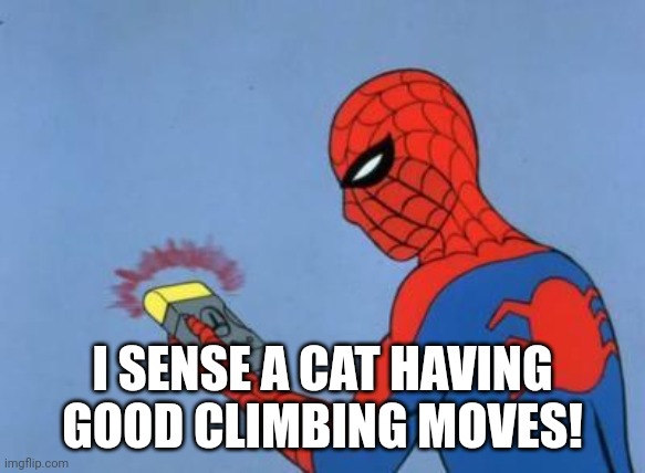 spiderman detector | I SENSE A CAT HAVING GOOD CLIMBING MOVES! | image tagged in spiderman detector | made w/ Imgflip meme maker