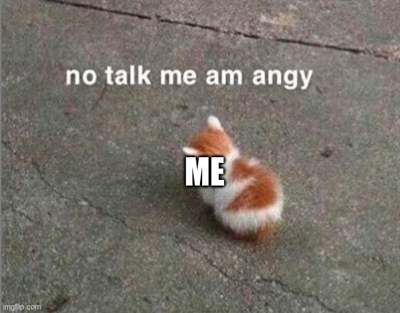 no talk me am angy | ME | image tagged in no talk me am angy | made w/ Imgflip meme maker