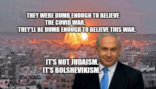 Bibi phosphorus | THEY WERE DUMB ENOUGH TO BELIEVE THE COVID WAR.              
        THEY'LL BE DUMB ENOUGH TO BELIEVE THIS WAR. IT'S NOT JUDAISM. IT'S BOLSHEVIKISM. | image tagged in bibi phosphorus | made w/ Imgflip meme maker