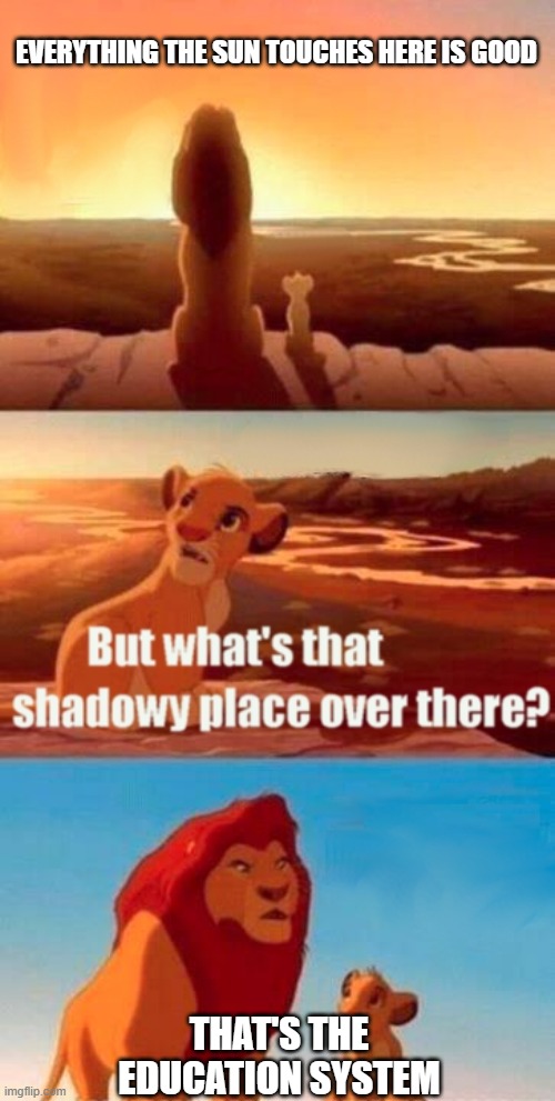 Mufasa was a good dad, but sadly, he was in a Disney movie. | EVERYTHING THE SUN TOUCHES HERE IS GOOD; THAT'S THE EDUCATION SYSTEM | image tagged in memes,simba shadowy place | made w/ Imgflip meme maker