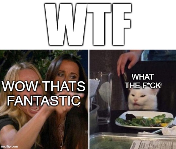 wtf. wow thats fantastic. more like what the f*ck | WTF; WHAT THE F*CK; WOW THATS FANTASTIC | image tagged in angry lady cat | made w/ Imgflip meme maker
