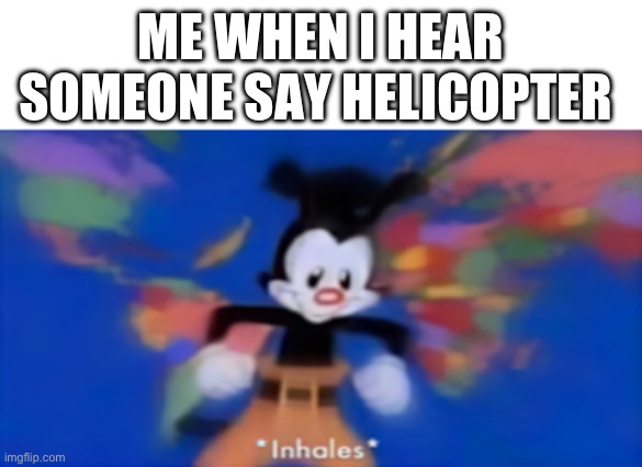 Helicopter! Helicopter! | ME WHEN I HEAR SOMEONE SAY HELICOPTER | image tagged in yakko inhale,helicopter,memes,so true memes | made w/ Imgflip meme maker
