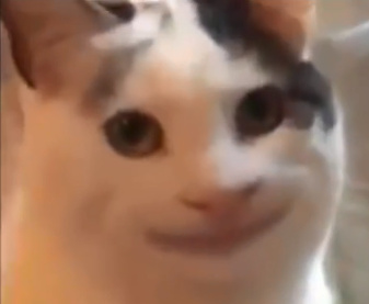 Funny cat smiling Blank Meme Template