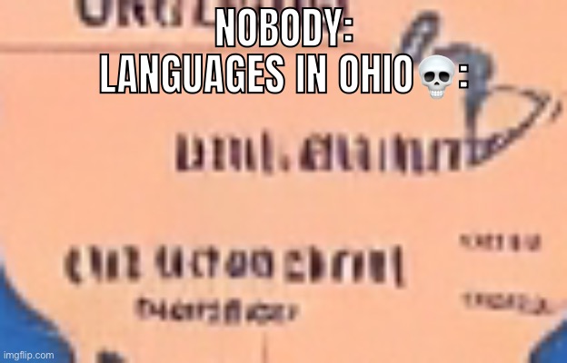 The most normal language in Ohio | NOBODY:
LANGUAGES IN OHIO💀: | image tagged in only in ohio,language | made w/ Imgflip meme maker