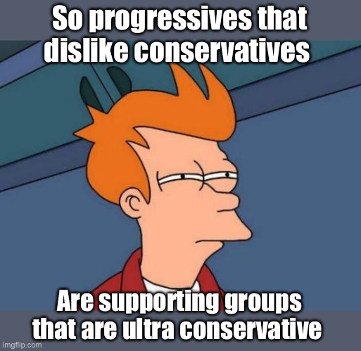 So they dislike conservative for not being more conservative? | So progressives that dislike conservatives; Are supporting groups that are ultra conservative | image tagged in memes,futurama fry,politics lol,liberal logic | made w/ Imgflip meme maker