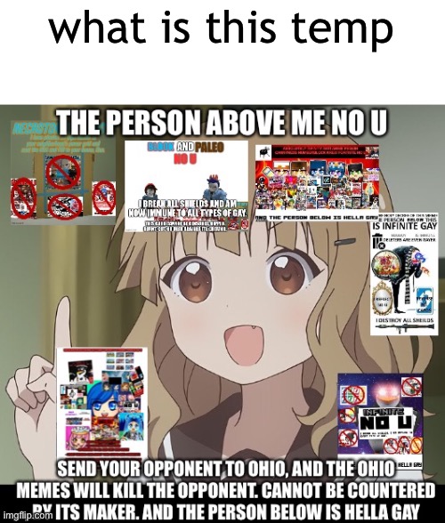 The Person Above Me No U | what is this temp | image tagged in the person above me no u | made w/ Imgflip meme maker