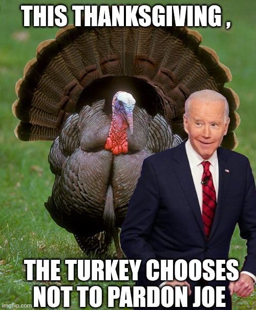 Thanksgiving | THIS THANKSGIVING , THE TURKEY CHOOSES NOT TO PARDON JOE | image tagged in joe biden | made w/ Imgflip meme maker