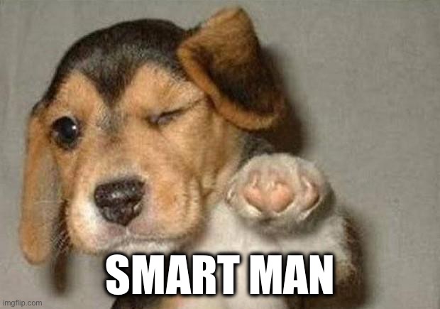 Winking Dog | SMART MAN | image tagged in winking dog | made w/ Imgflip meme maker
