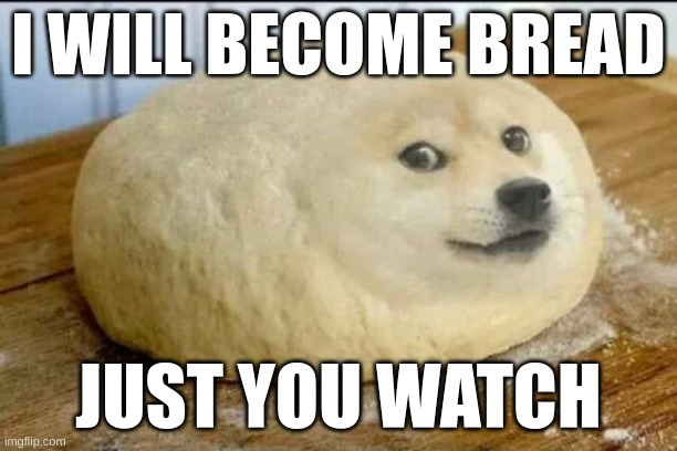 dough doge | I WILL BECOME BREAD; JUST YOU WATCH | image tagged in dough doge | made w/ Imgflip meme maker