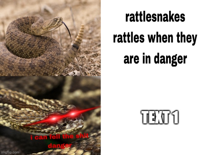 Rattlesnake rattles when they are in danger | TEXT 1 | image tagged in rattlesnake rattles when they are in danger,memes,rattlesnake,custom template,danger | made w/ Imgflip meme maker