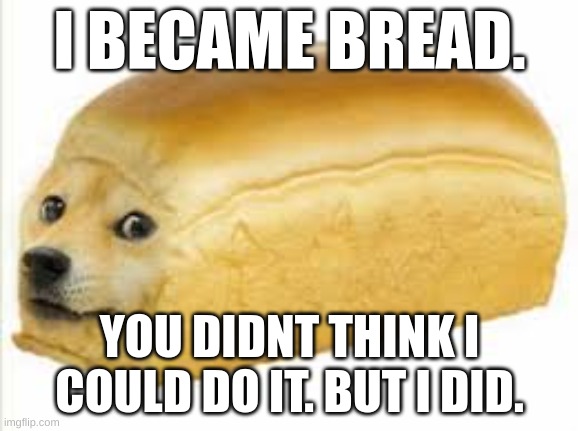 Doge bread | I BECAME BREAD. YOU DIDNT THINK I COULD DO IT. BUT I DID. | image tagged in doge bread | made w/ Imgflip meme maker
