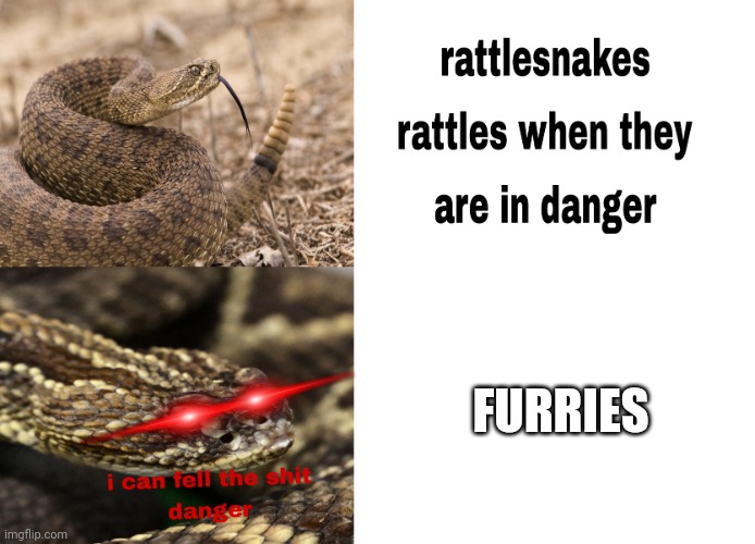 Rattlesnake rattles when they are in danger | FURRIES | image tagged in rattlesnake rattles when they are in danger,memes,anti furry,rattlesnake | made w/ Imgflip meme maker