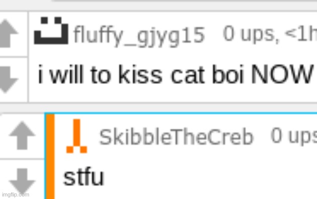 made w/ Imgflip meme maker