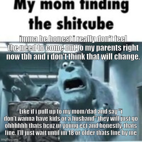 its not like im gay its literally that im planning to kill the bloodline | imma be honest i really don't feel the need to come out to my parents right now tbh and i don't think that will change. Like if i pull up to my mom/dad and say "i don't wanna have kids or a husband" they will just go ohhhhhh thats bcuz ur young ect and honestly, thats fine. I'll just wait until im 18 or older thats fine by me | image tagged in my mom finding the shitcube | made w/ Imgflip meme maker