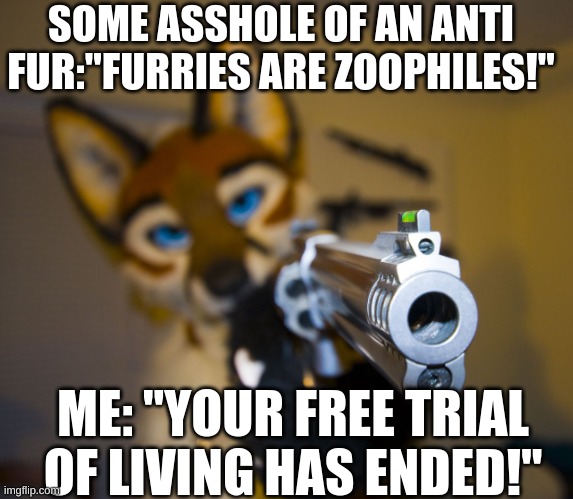 i made this for all those anti furrs that aren't supposed to be in the furry army stream. | SOME ASSHOLE OF AN ANTI FUR:"FURRIES ARE ZOOPHILES!"; ME: "YOUR FREE TRIAL OF LIVING HAS ENDED!" | image tagged in furry with gun | made w/ Imgflip meme maker