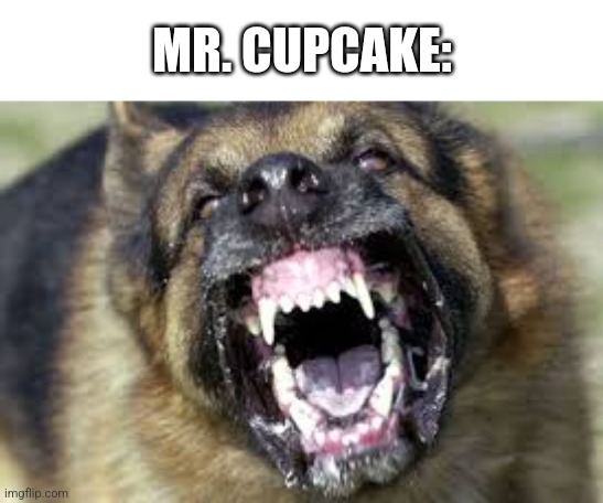 Angry Dog | MR. CUPCAKE: | image tagged in angry dog | made w/ Imgflip meme maker