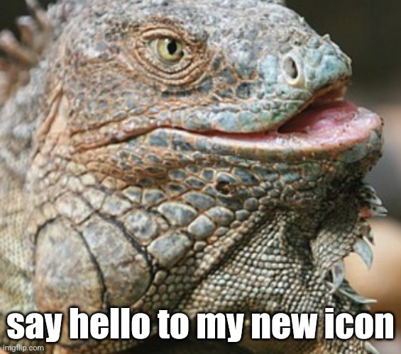 Iguana | say hello to my new icon | image tagged in iguana | made w/ Imgflip meme maker